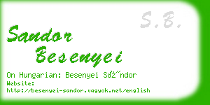 sandor besenyei business card